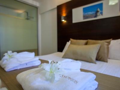 Amorgos Boutique Отель 3*